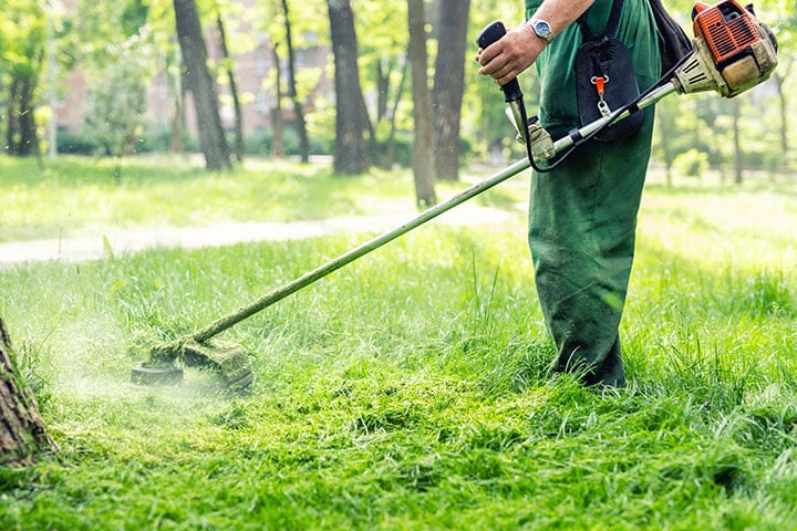 String Trimmer (2-Stroke) Maintenance Training